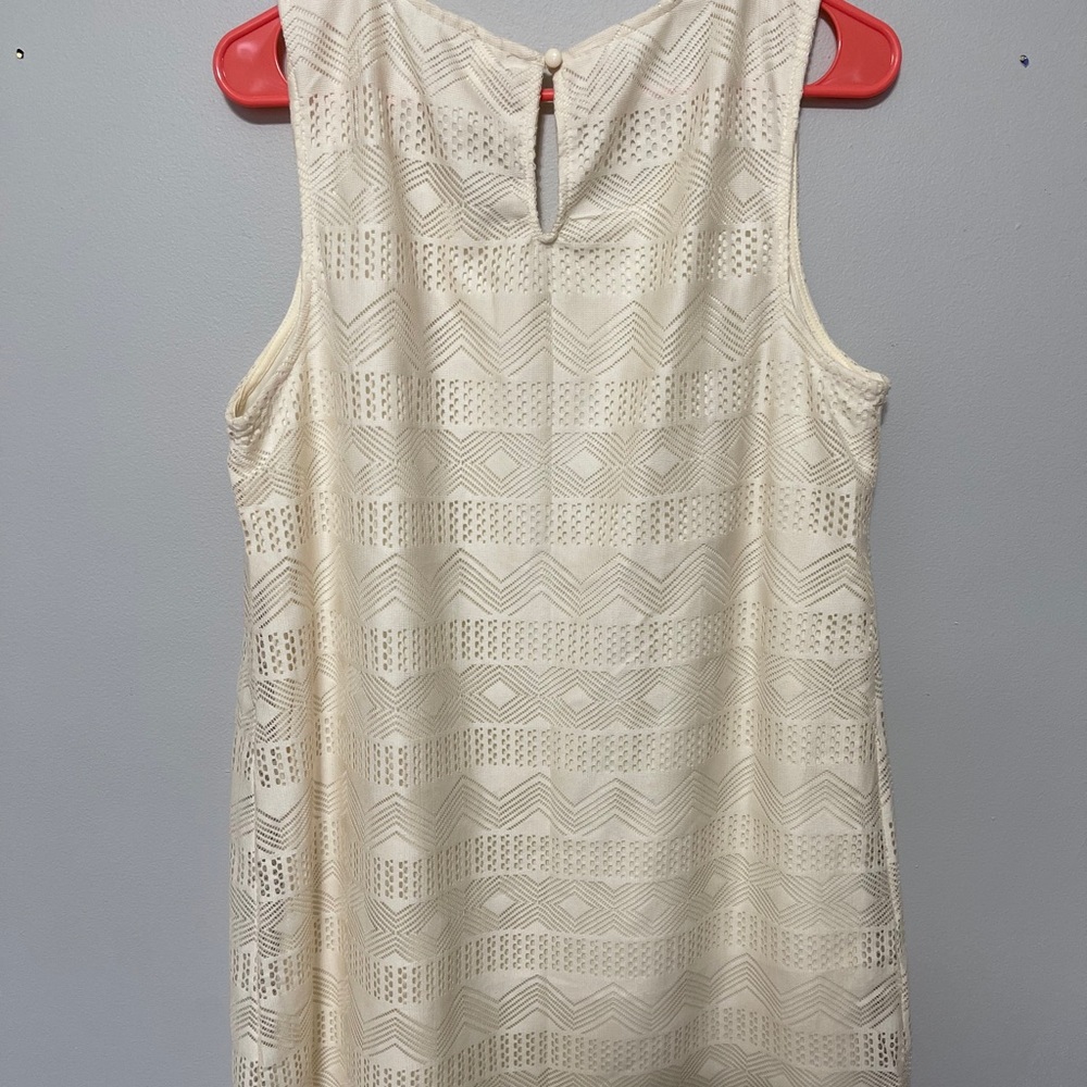 Xhilaration “Lace”/Mesh Tank Dress